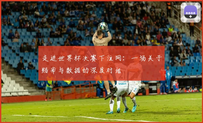 走进世界杯决赛下注网：一场关于赔率与数据的深度对话