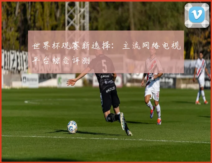 世界杯观赛新选择：主流网络电视平台综合评测