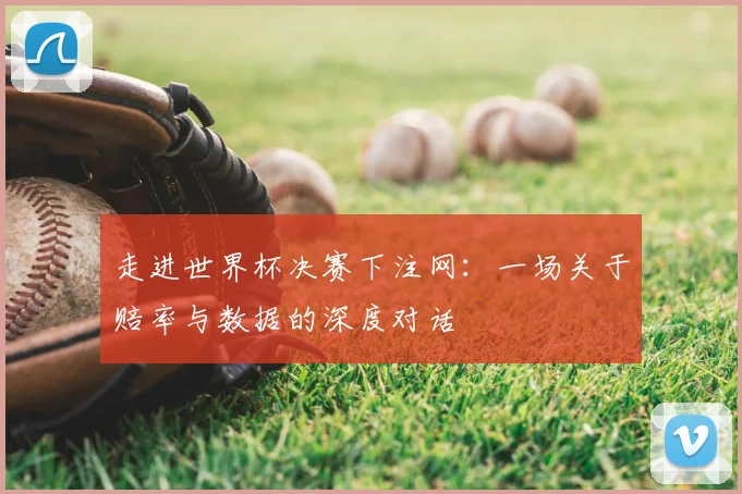 走进世界杯决赛下注网：一场关于赔率与数据的深度对话
