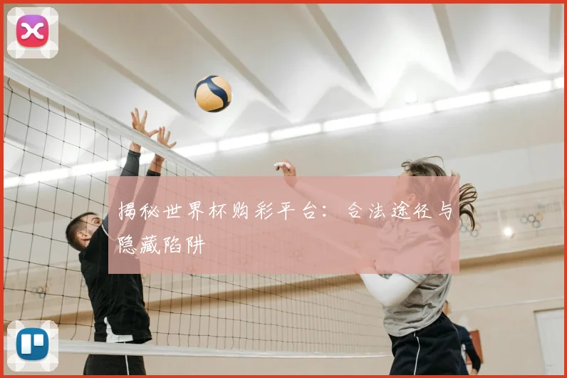 揭秘世界杯购彩平台：合法途径与隐藏陷阱