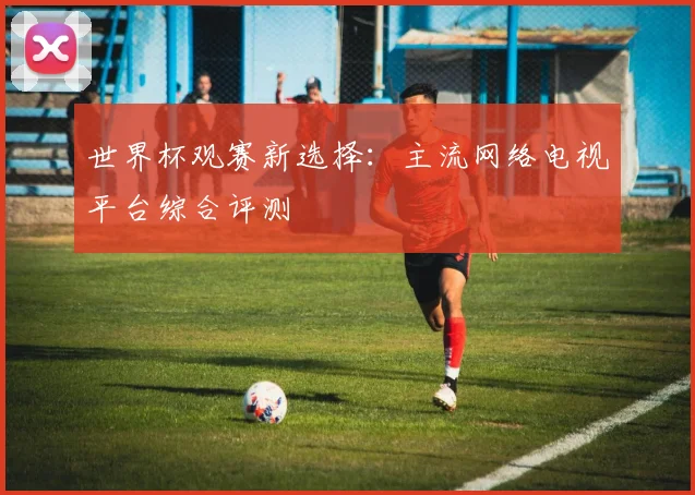 世界杯观赛新选择:主流网络电视平台综合评测